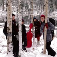 Felis Quartet: Winter Wonderland