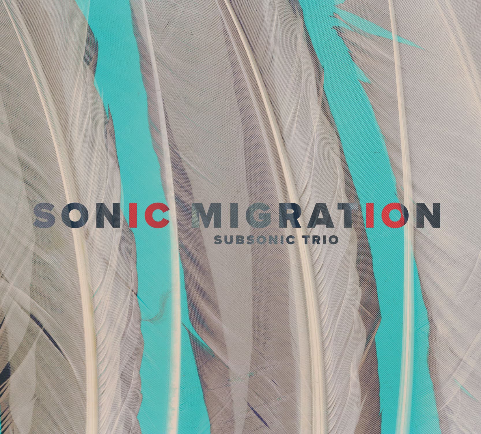 Subsonic Trio: Sonic Migration
