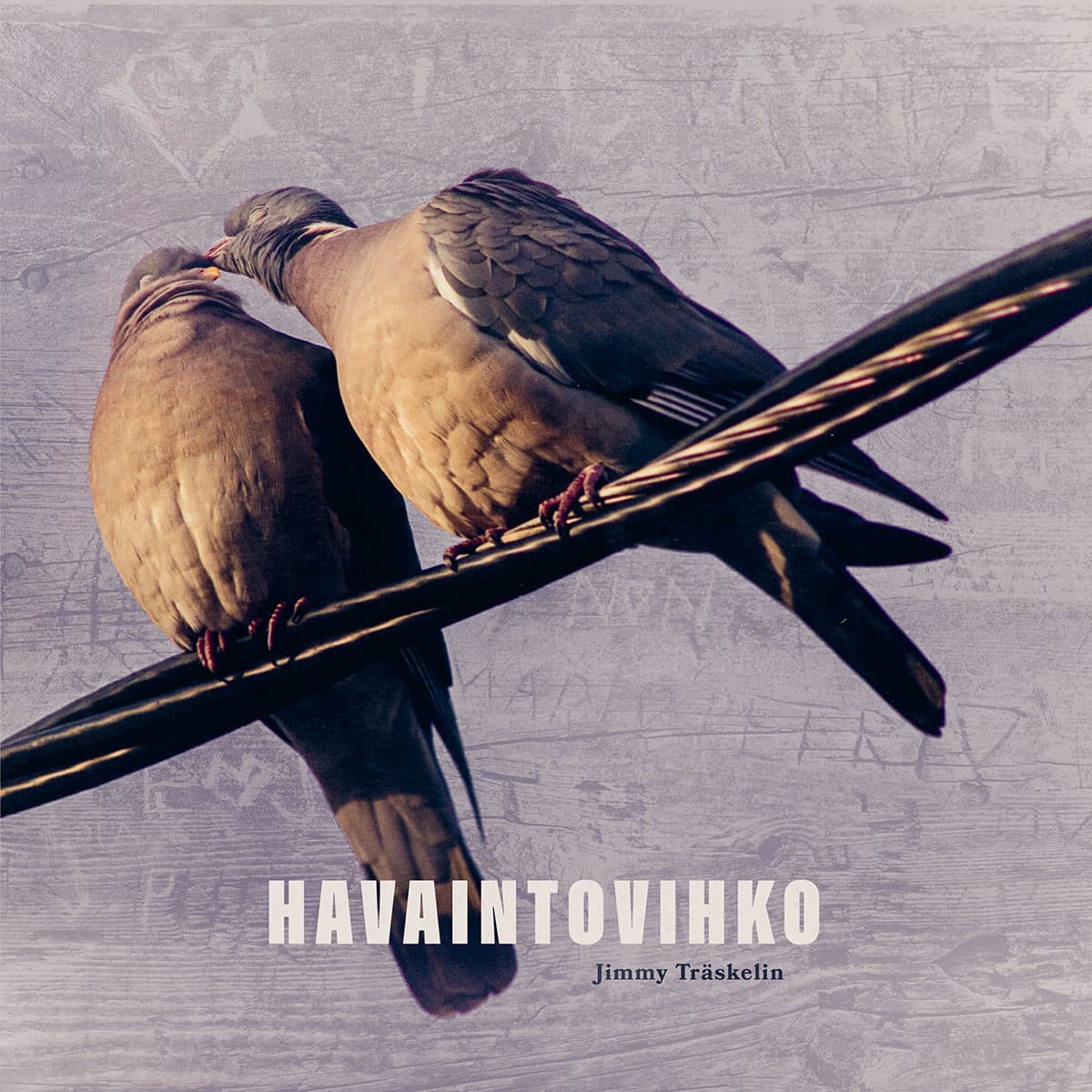 Träskelin Jimmy: Havaintovihko (kirja +cd)