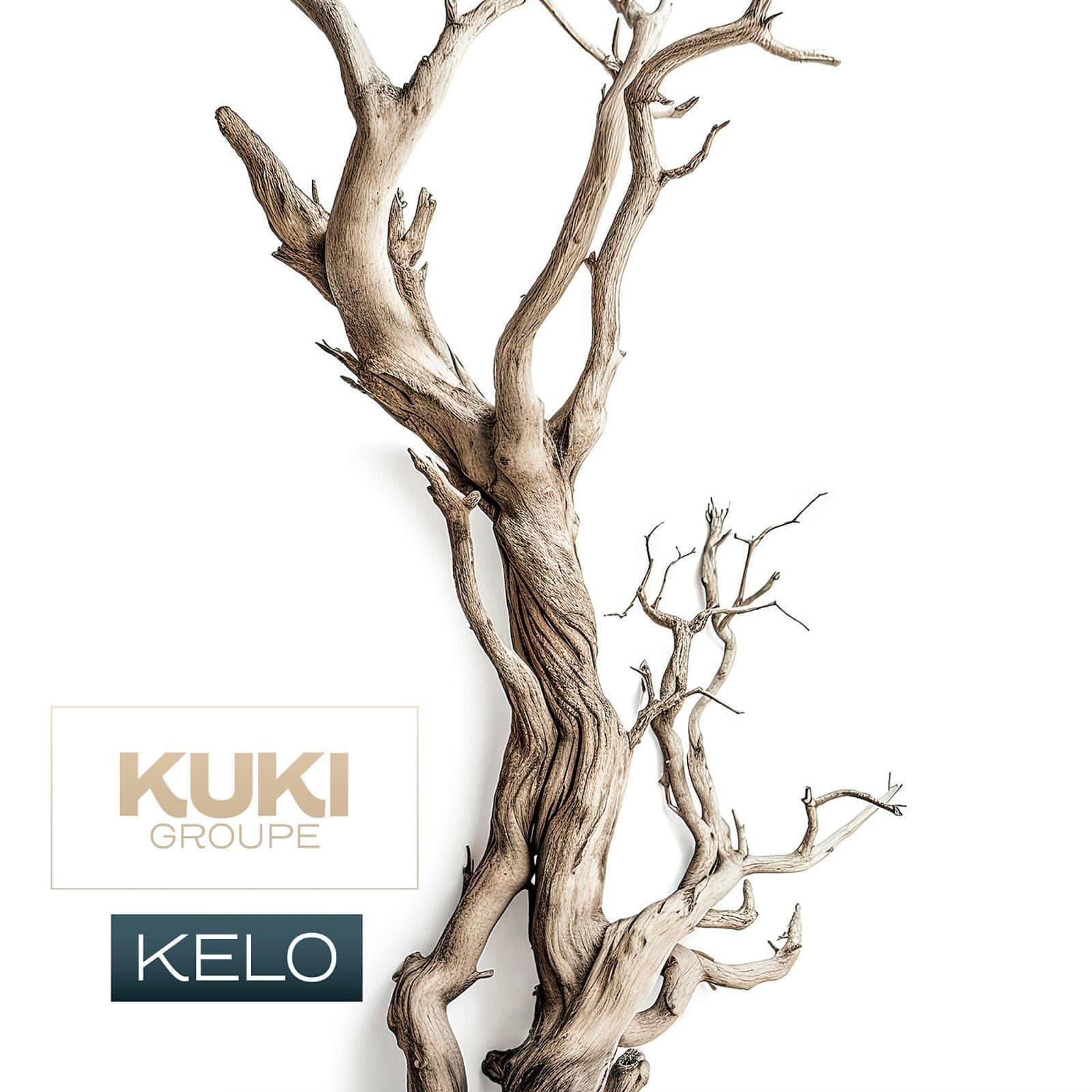 KUKI Groupe: Kelo